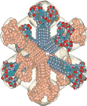 Supramolecular Chemistry