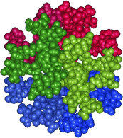 Supramolecular Structure of 5-nm Spherical Micelles with D3 Symmetry Assembled from Amphiphilic [3:3]-Hexakis Adducts of C60