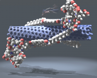 Perylen adsorbed onto a Carbon Nanotube